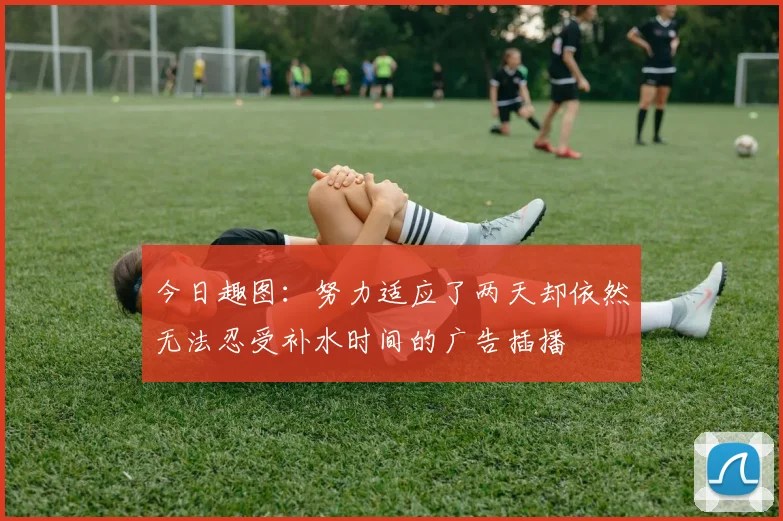 今日趣图：努力适应了两天却依然无法忍受补水时间的广告插播